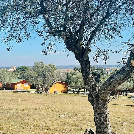 El Bosque De Ribera *